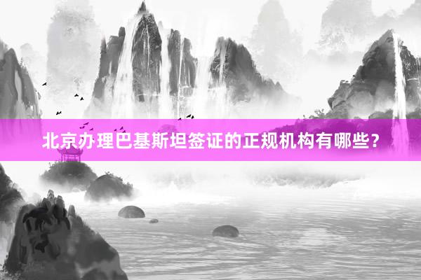 北京办理巴基斯坦签证的正规机构有哪些？