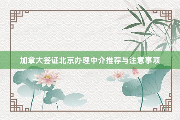 加拿大签证北京办理中介推荐与注意事项