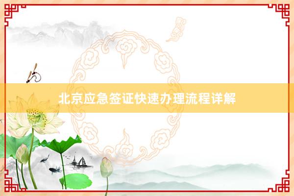 北京应急签证快速办理流程详解