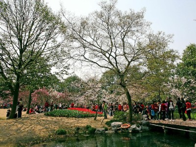 凉山医保取现莫轻信！合规使用指南+官方咨询渠道速览