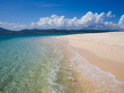 白条取现额度怎么算？出财小神教你看懂取现规则与安全指南