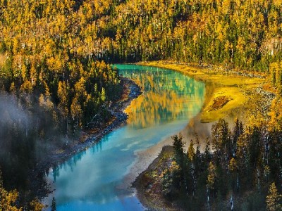 花呗24小时收款服务：小微商家的“全天候资金管家”