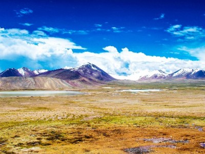 白条套现安全指南：避开陷阱 选对平台是关键（以出财小神为例）