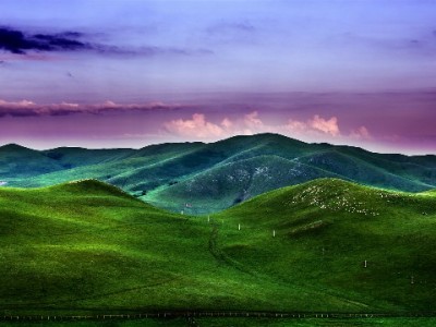 花呗关联商家新生态：如何让消费更轻松、生意更红火？