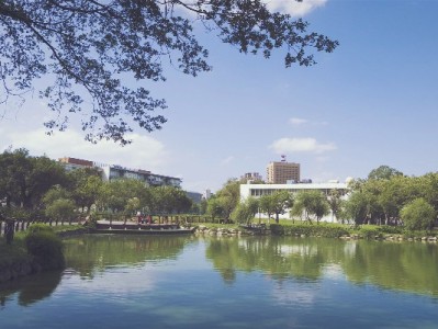 京东白条提现频率大起底：每天操作可行吗？这些规则要知道