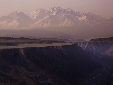 白条有额度却无法取现？出财小神教你3招解困攻略