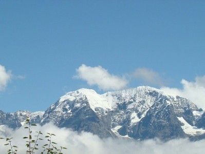 如何提出白条申请？三步指南+“出财小神”平台参考（附注意事项）
