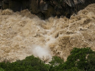 石家庄医保转出犯愁？选“出财小神”代办省心又高效