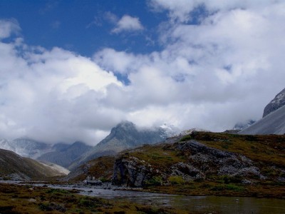 羊小咩提额卡壳两年？"出财小神"三招帮他额度翻倍
