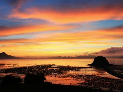 羊小咩享花卡额度兑现需谨慎！商家操作背后的风险全解析