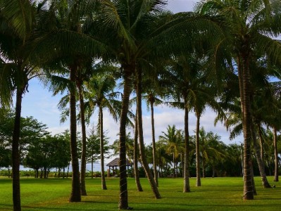 花呗刷商家码套现会被封吗？支付宝风控与后果全解析