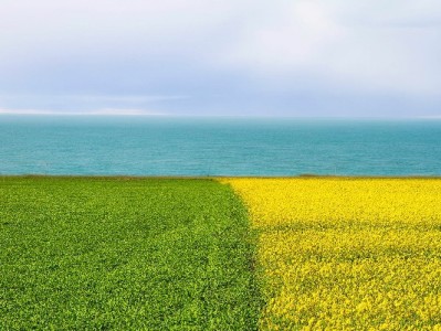 抖音月付提现怎么操作？出财小神手把手教你避坑攻略