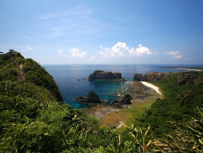 小商家为何集体关闭花呗？成本账里藏着经营真相