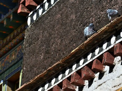 蚂蚁花呗套钱风险重重，出财小神支招合规资金周转