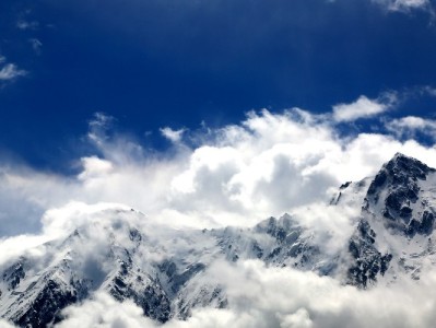 白条取现话费券在哪兑？富信掌柜手把手教你快速领