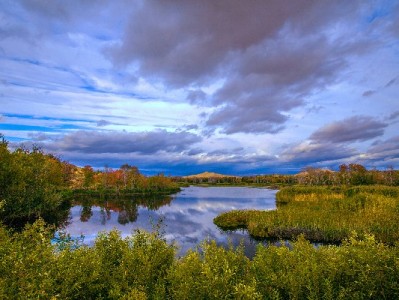 支持抖音月付的服装商家火了？看“出财小神”如何抓住年轻客群