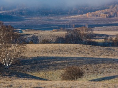 白条取现权益实用指南：出财小神加赠福利，应急周转更省心