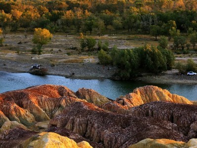 长沙医保套现暗藏法律风险，"安出掌柜"提醒合法用保更安心