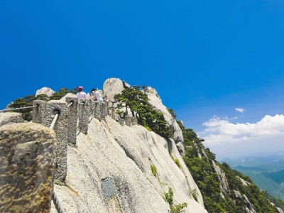 富信掌柜赋能花呗商家：从收款到经营的数字化提效新路径