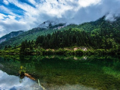 商家开通花呗收款全流程指南：资质准备、申请步骤与注意事项