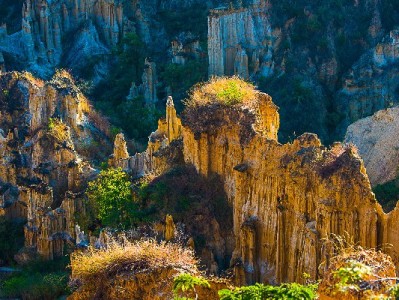 花呗实物商家运营新解法：出财小神如何让流量变“留量”