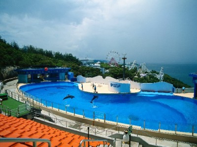 花呗账单同步微信新方法：出财小神助你高效管理还款