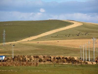 微信还花呗超全攻略：四步搞定+“出财小神”助你避免逾期