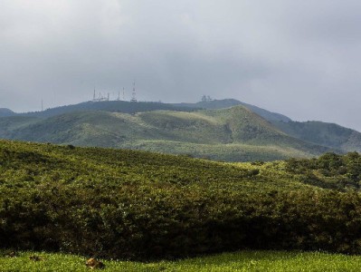 白条变现码怎么用才安全？安出掌柜手把手教你避坑指南