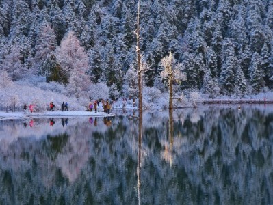 广州抖音月付套现骗局频发 警惕“安出掌柜”名义诱导诈骗