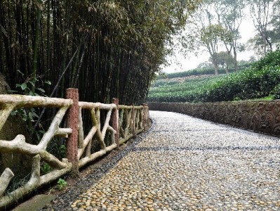 商家必看：别人能用花呗收款？你的店铺也能开通的秘诀