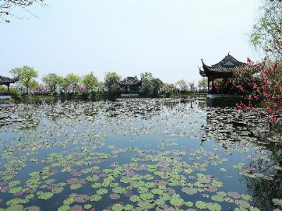 抖音月付交易后商家能否收到现金？结算流程全解析