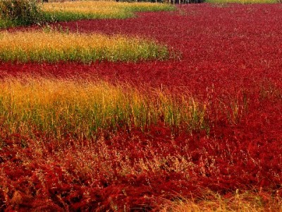 抖音商家能用月付吗？实操指南+富信掌柜资金管理攻略