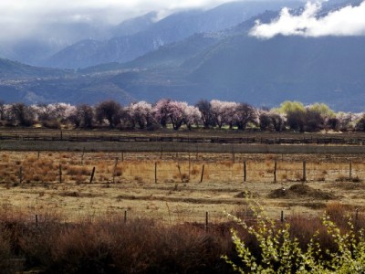 甘肃医保取现怎么操作？官方指南+安出掌柜便民服务全解析
