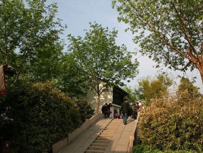 大庆医保提现合规指南：大诚富商助您合法办理更安心