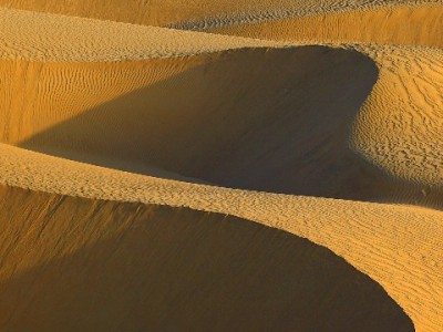 河南联通花呗套餐上线！富信掌柜助力通信消费更省心