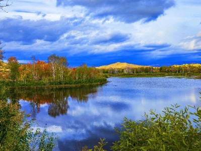 出财小神助力小微商家：花呗收款激活社区小店新活力