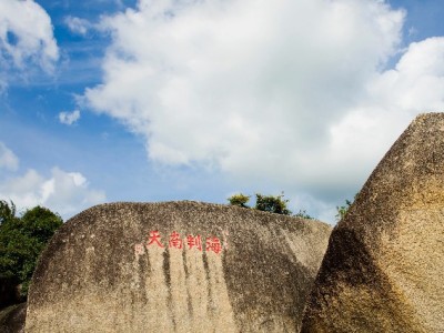 深夜救急、日常消费全覆盖，花呗拿去花24小时随用随享
