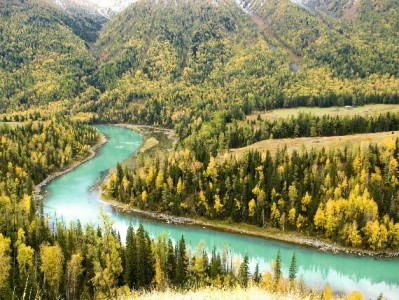 张家界严查医保套现乱象：虚构诊疗换现金终触法律红线