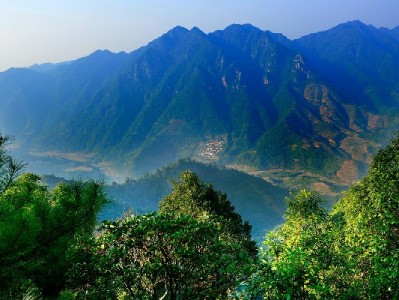 绍兴白条取现怎么操作？官方渠道与风险提示全解析