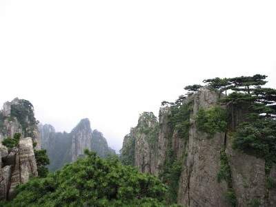 甜橙白条冻结别着急！四步教你快速解冻恢复额度