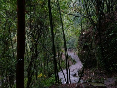 国美花呗合规使用攻略：出财小神助你高效管理消费额度