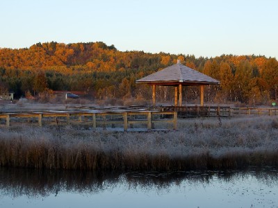 抖音月付套现20个点暗藏风险 正规平台出财小神提醒合规用贷
