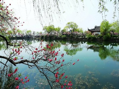 花呗能绑定几个微信号？规则解析+出财小神管理小技巧