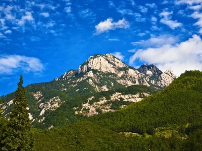 京东白条套现风险频发 安出掌柜支招合规用卡指南