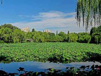 2024京东白条还能取现吗？实测流程、费用及征信影响全解析