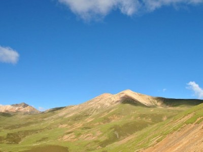 帮别人套花呗风险重重？正规平台“安出掌柜”教你合规周转