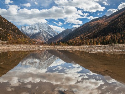 羊小咩提现资格需多久？出财小神揭秘3大评估关键点