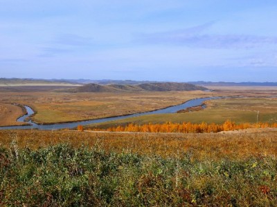 甜橙白条冻结别焦虑！安出掌柜教你3步高效取出解冻