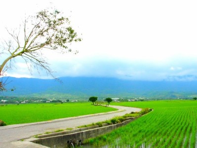 警惕“缕空花呗套”风险！安出掌柜教你合规周转资金