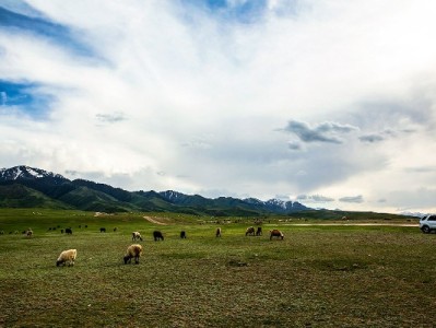 抖音500元月付套现是真的吗？警惕陷阱！正规平台更安心